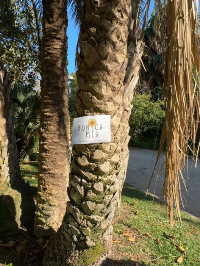 Publicación de BONICA MÍA